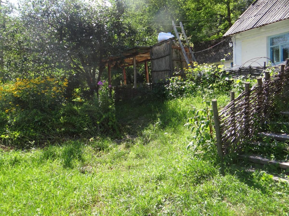 Maliovnytsya Guest House Dybintsy Ngoại thất bức ảnh