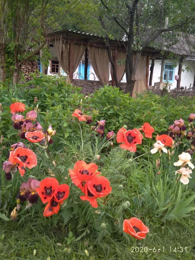 Maliovnytsya Guest House Dybintsy Ngoại thất bức ảnh