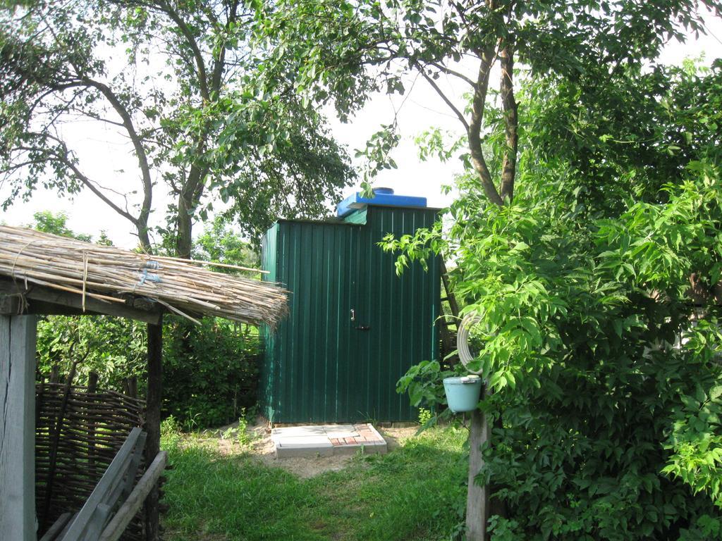 Maliovnytsya Guest House Dybintsy Ngoại thất bức ảnh