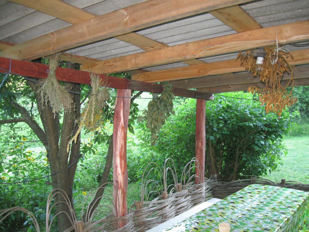 Maliovnytsya Guest House Dybintsy Ngoại thất bức ảnh