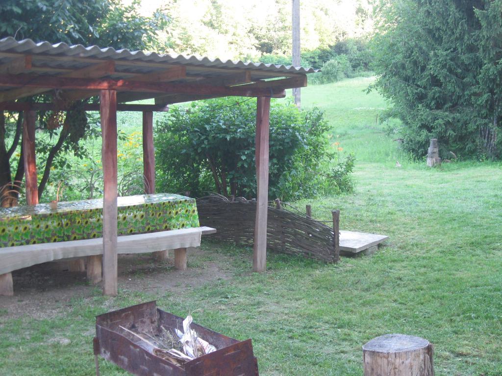 Maliovnytsya Guest House Dybintsy Ngoại thất bức ảnh