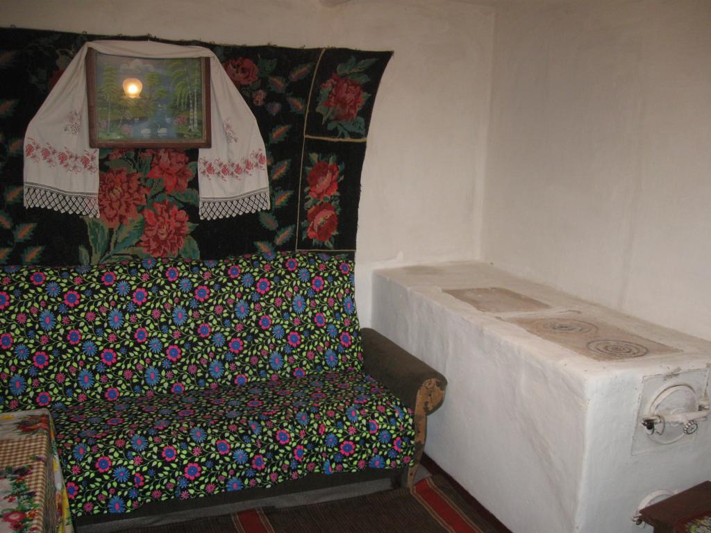 Maliovnytsya Guest House Dybintsy Ngoại thất bức ảnh