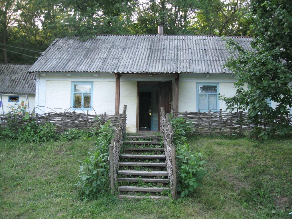 Maliovnytsya Guest House Dybintsy Ngoại thất bức ảnh