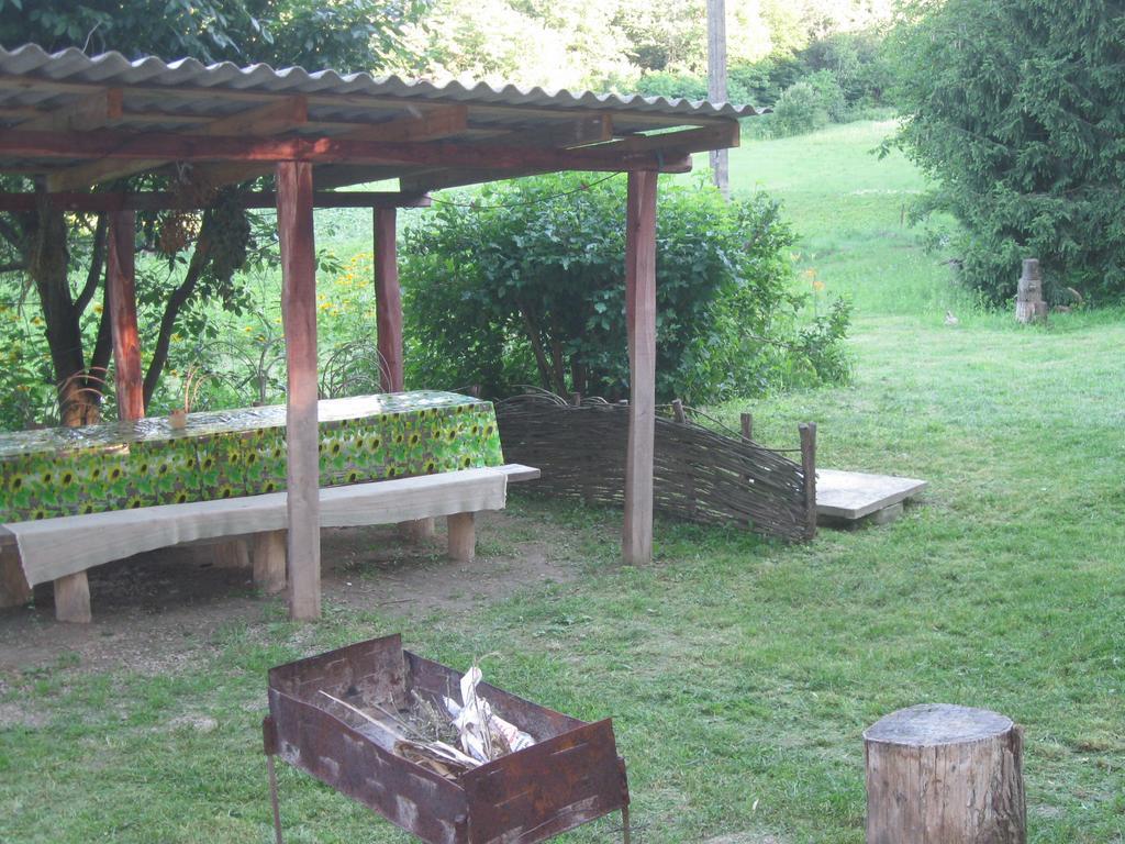 Maliovnytsya Guest House Dybintsy Ngoại thất bức ảnh